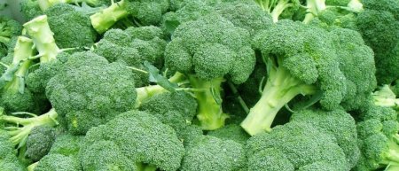 Капуста брокколи — выращивание из семян